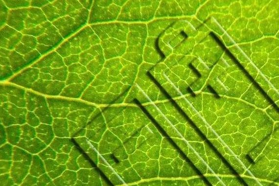 电动汽车发展猛　废旧电池回收难