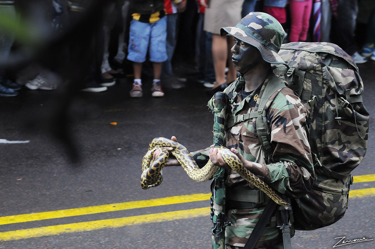 画风清奇:巴拉圭举行独立日阅兵 士兵带宠物参加