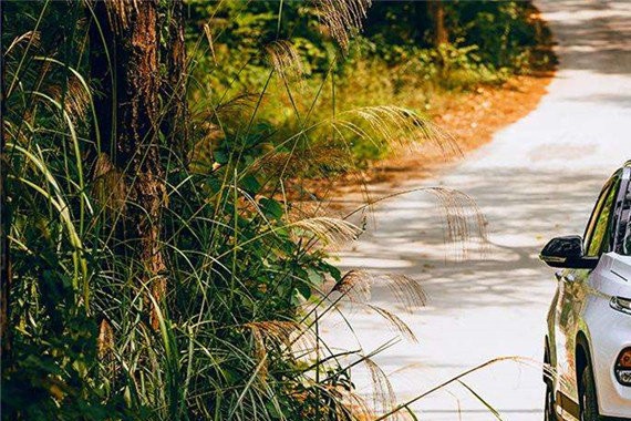 宝骏510开挂，哈弗H6险夺8月SUV销冠