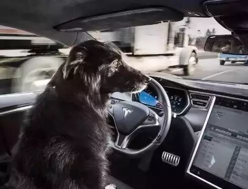 特斯拉事故反思录：人类和机器必须协同工作