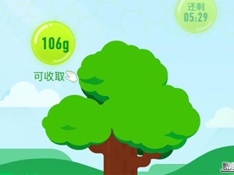 有生之年，开车去看看在阿拉善种下的树