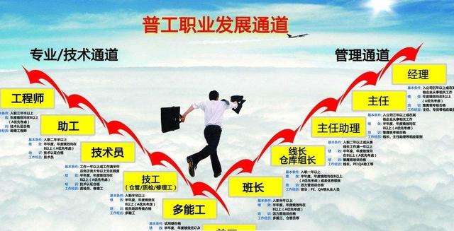 专科生和本科生的现实差距,句句戳心!