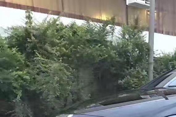 30万买下奔驰CLS550，老王的朋友居然变多了！