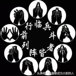 火影忍者临兵斗者皆阵列在前公式书系列:临之书