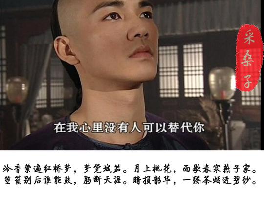 陌上人如玉,公子世无双，钟汉良版纳兰性德