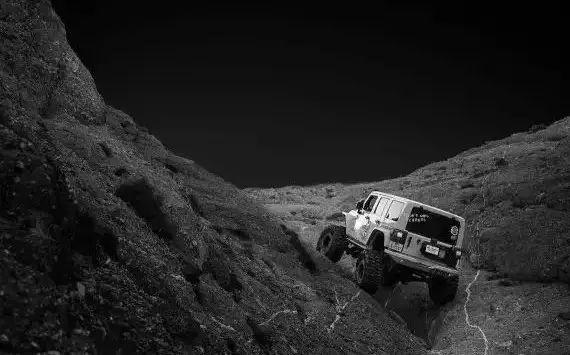 车企去哪儿丨脱去狂野的外衣，车企也玩儿起了走心