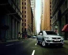 国内十大“伪豪车”