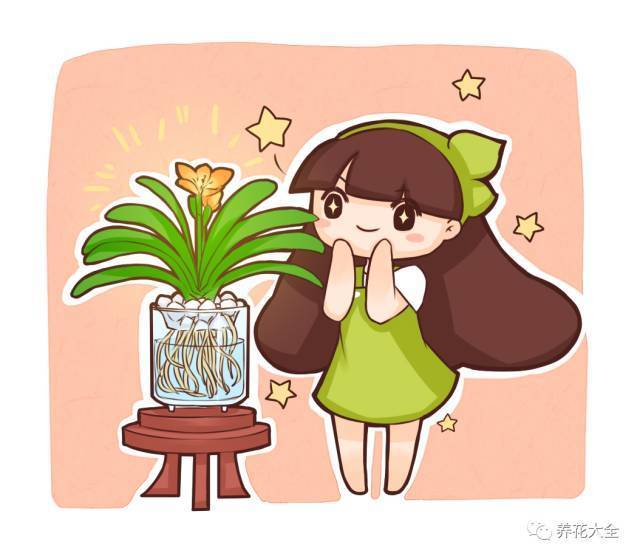他家的君子兰一年长了3对叶子,全靠这样做