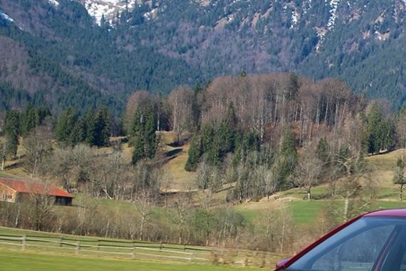 网传30岁前该买这9款车！看完泪崩...