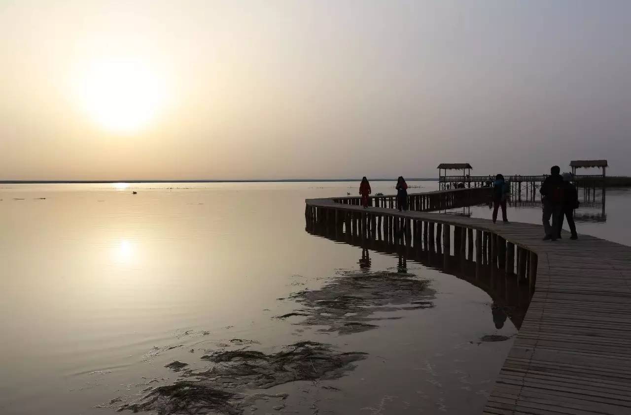 金秋额济纳旗赏胡杨、观七彩丹霞、酒泉航天自
