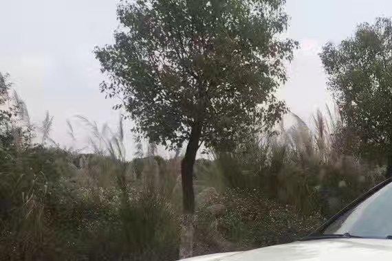 三十万买下保时捷卡宴TURBO，堪称冬日炸街神器！