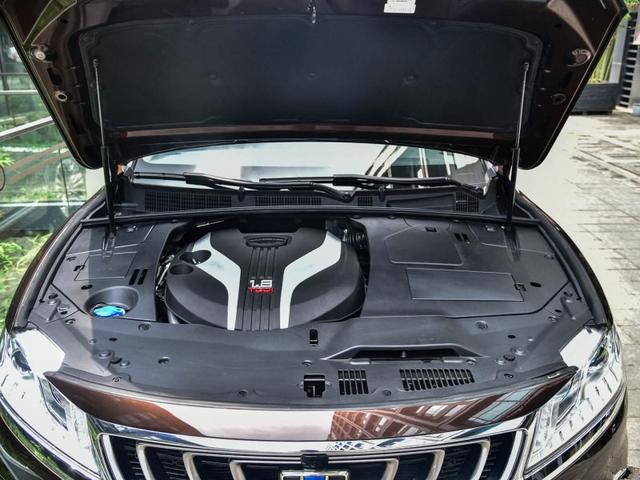 各种VIP配置,还是人人都能买得起的国产车