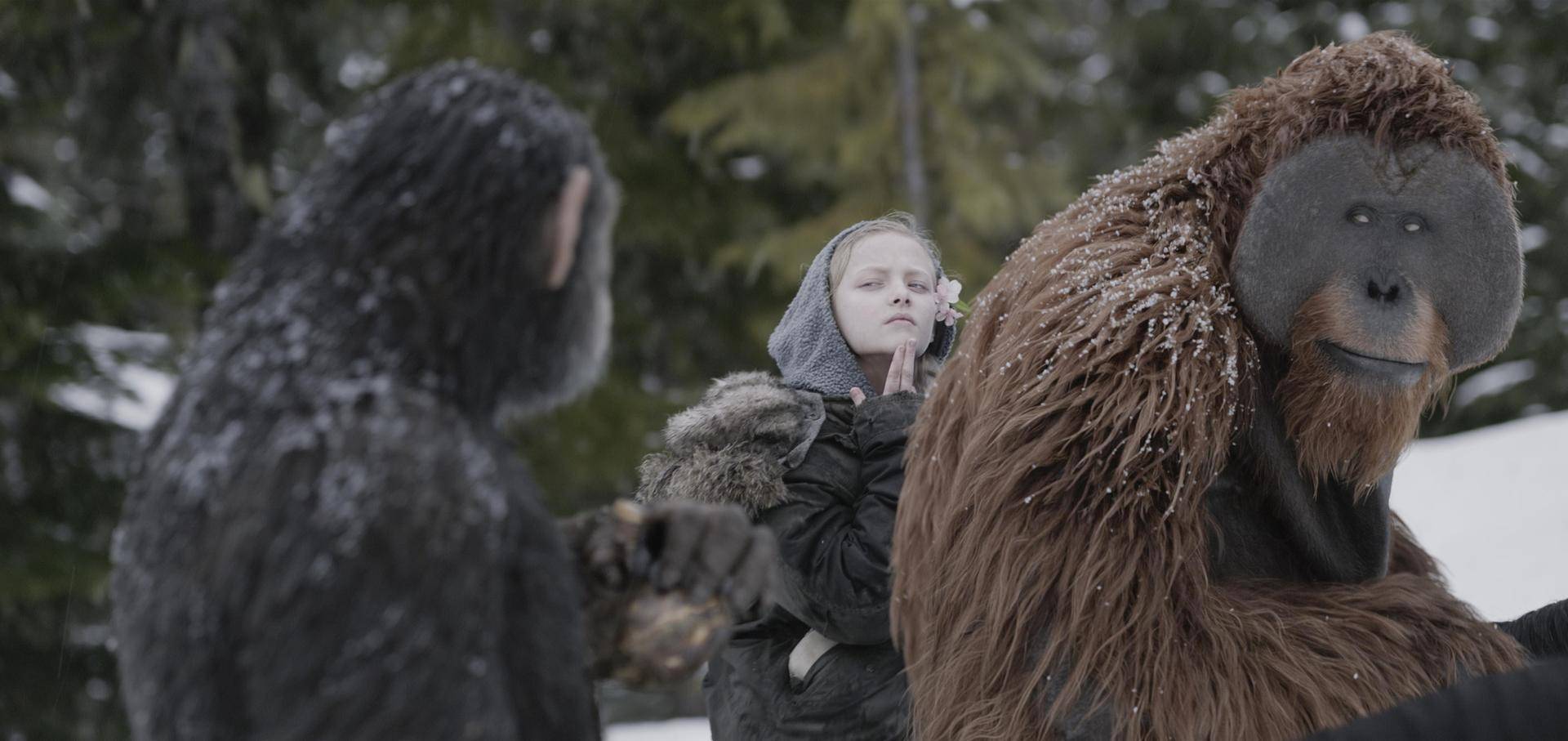 《猩球崛起3》：关于人类命运的警世寓言