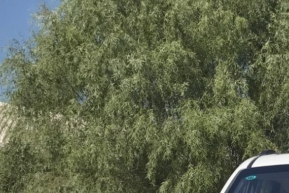 忍不住要败家 跨界产品魅力有多大？