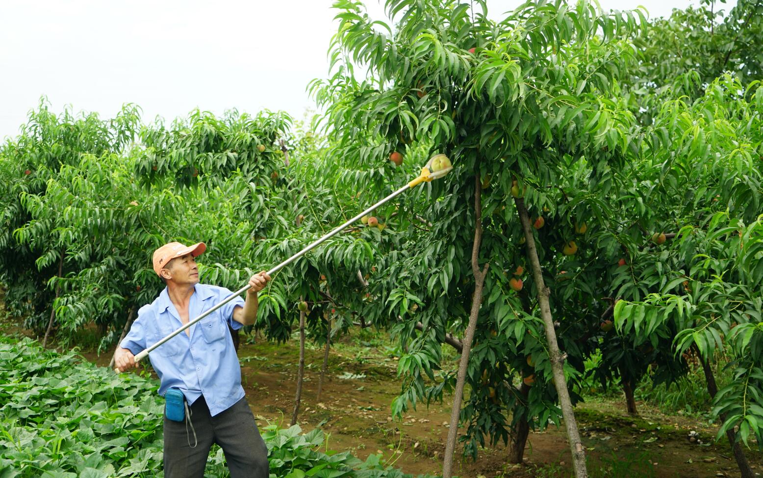 宋楠:不为人知的北京伽途im8的用车感受