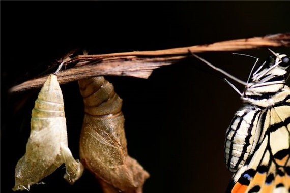 SUV市场持续看好，需求升级引导量变到质变