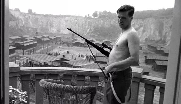 《猩球崛起3》：关于人类命运的警世寓言