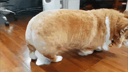 对于外面的那些