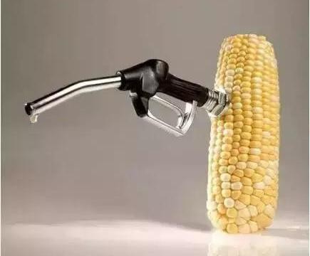 2020年推乙醇汽油板上钉钉  爱车你怕了吗？