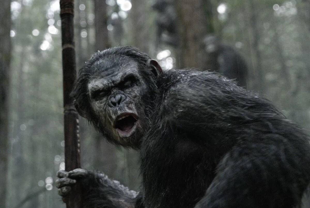 《猩球崛起3》：关于人类命运的警世寓言