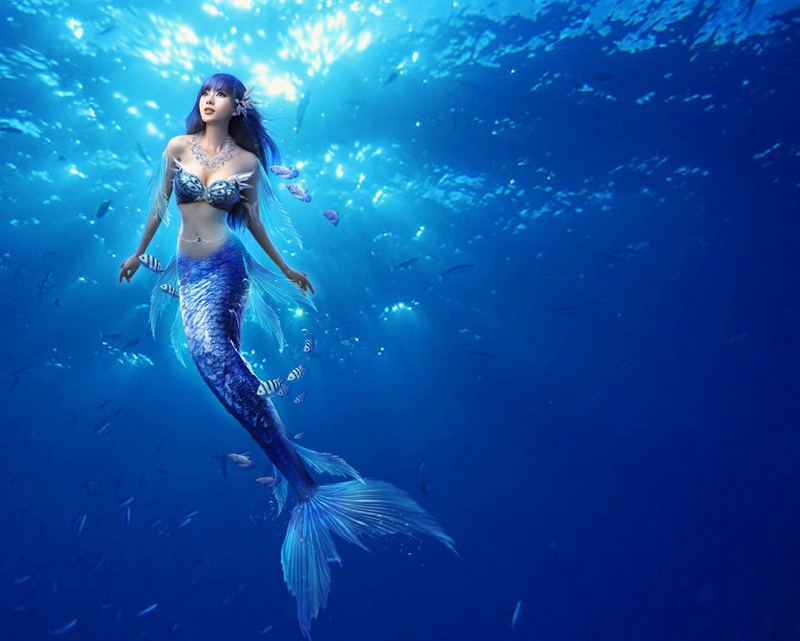 襄阳海底世界国庆节加场美人鱼海洋剧场深受市民欢迎