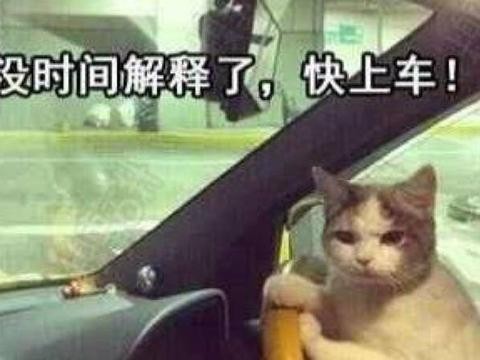 买这些SUV不仅显年轻 女票一定也会夸你品味