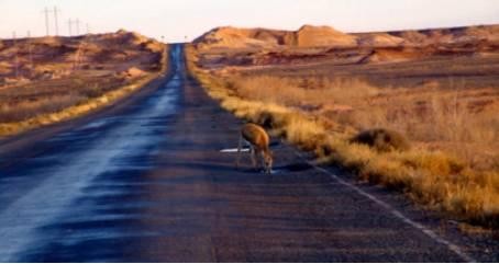 要想穿越无人区 没点干货都过不去