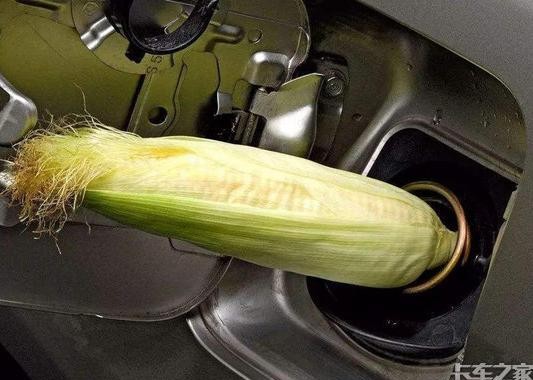 传统燃油车将一旦被禁 未来新能源花落谁家？