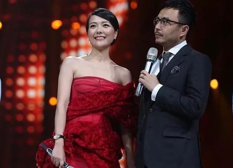汪涵妻子杨乐乐被骗788万,法院已冻结郑靖12套房屋