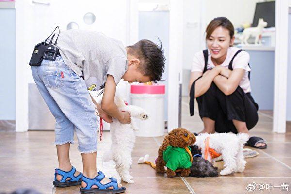 叶一茜的育儿观：女儿照书养 儿子照猪养