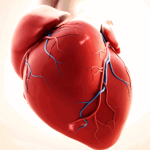 你无法承受的猝死【元凶】