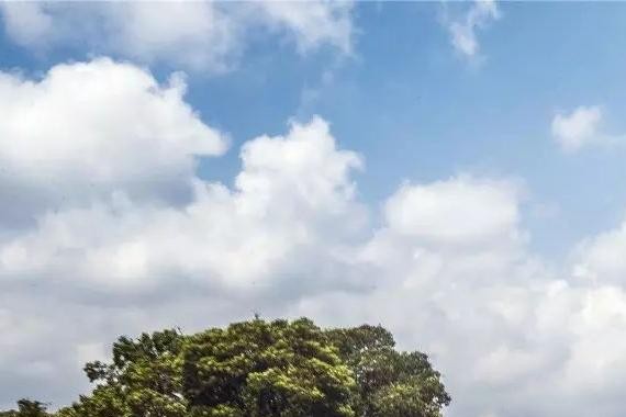 颜光明：上汽通用速度背后是什么?