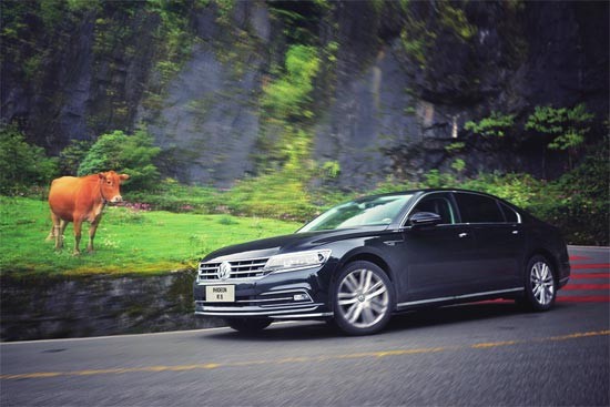 辉昂：在山城的薄雾里觅得知音