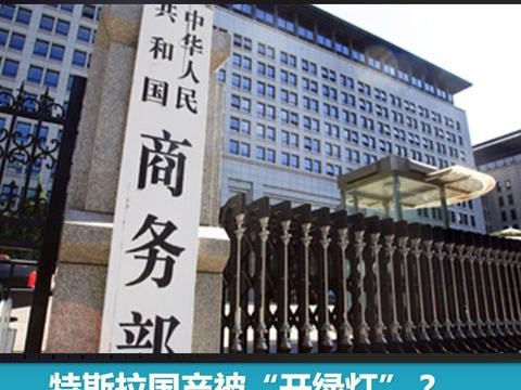 特斯拉国产被“开绿灯”自贸区可成立独资电动车企业