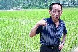 袁隆平养活十几亿国人, 多看豪车两眼还被骂