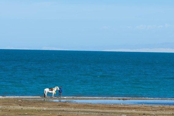 卡车司机：我开车带74岁老父亲去看青海湖