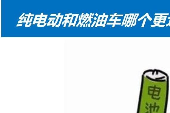 你心甘情愿意多掏50%的价格买同一车型的电动汽车吗？
