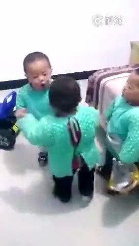 三包胎兄弟在一起打架，太可爱了， 这是要确立江湖地位了，，，  ​