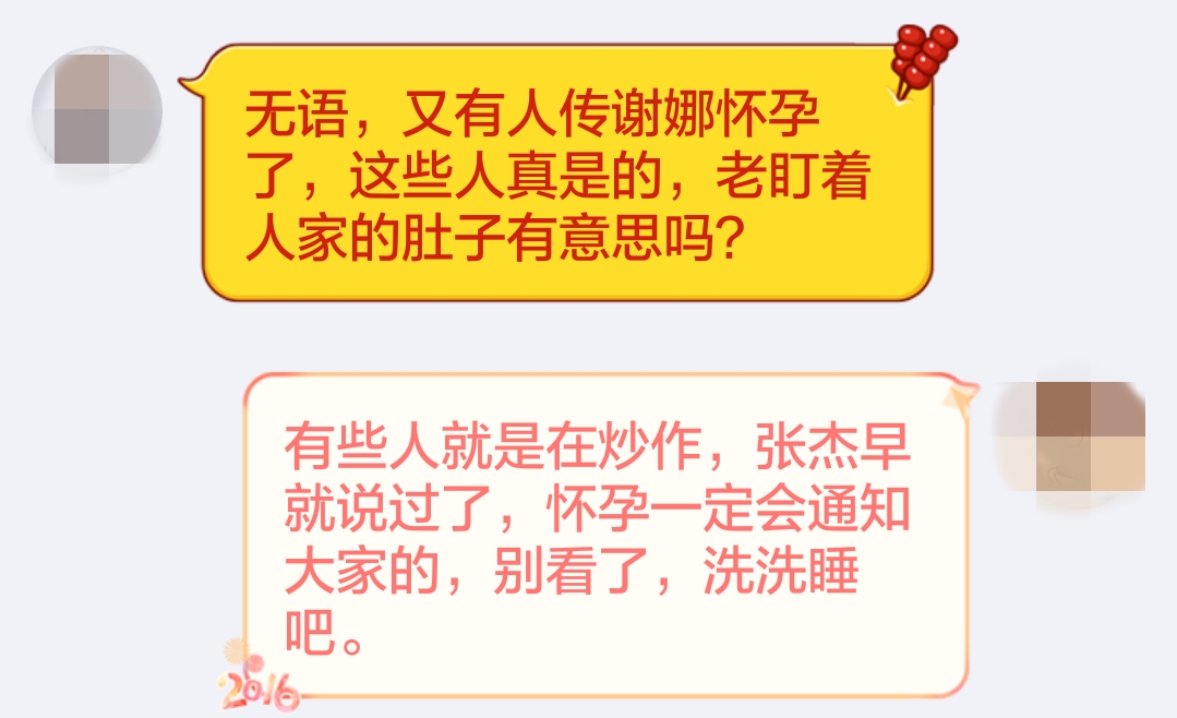 张杰谢娜_谢娜一年收入