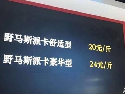 售价不超7万！这三款皮卡可开启你发家致富路