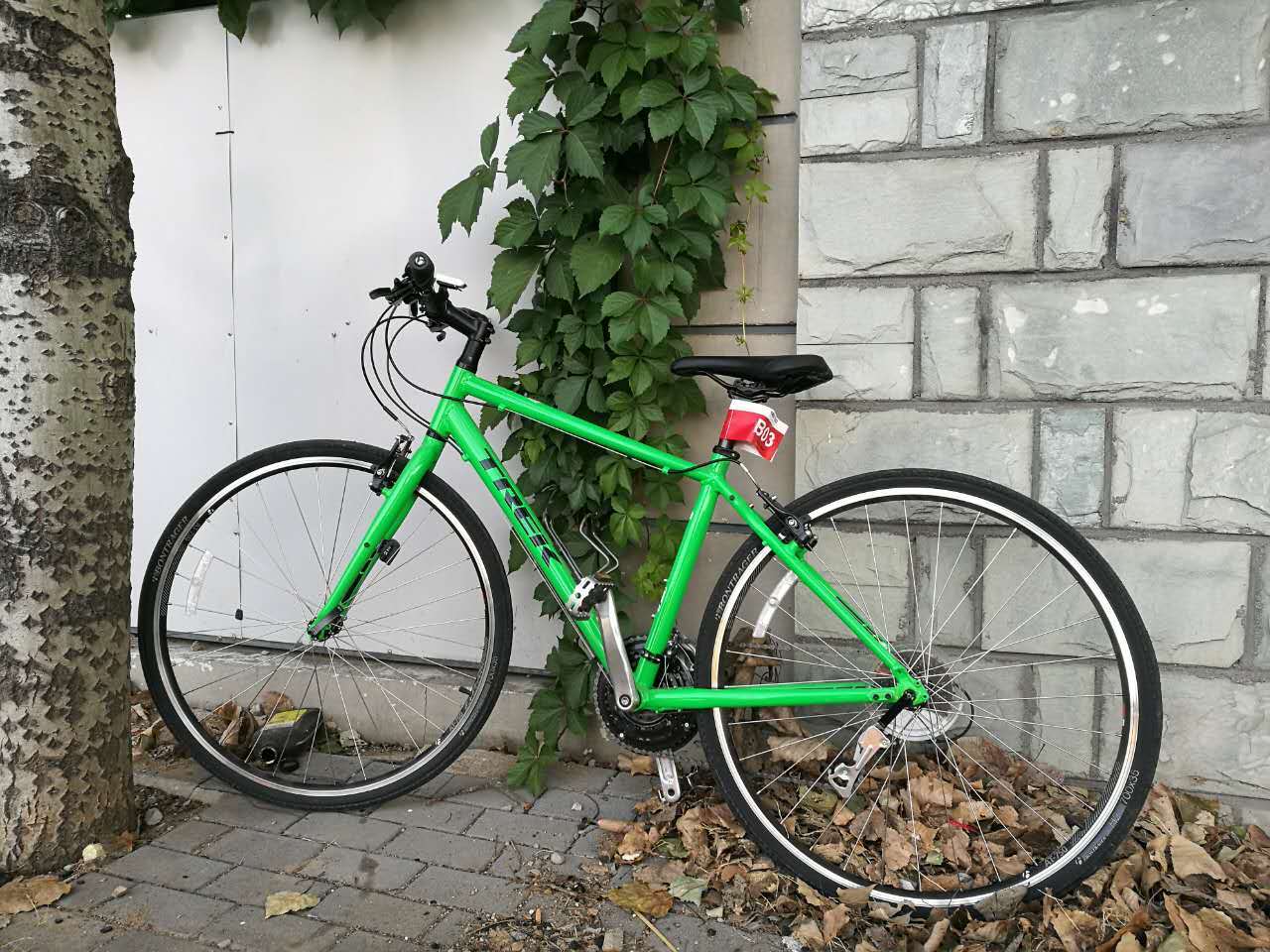 4+2新旅行生活,为什么说蔚领玩得不是认真,却