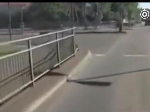 女司机油门当刹车，这一次她不后悔