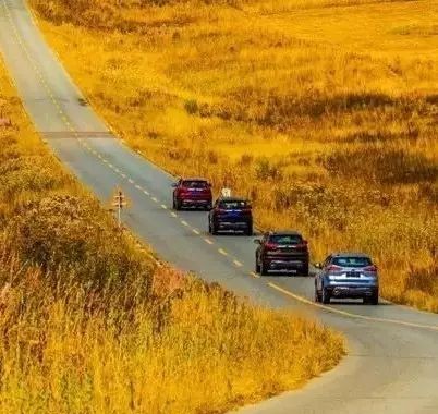 车透TV | 爆款神车更是全能选手，喀纳斯试驾吉利博越