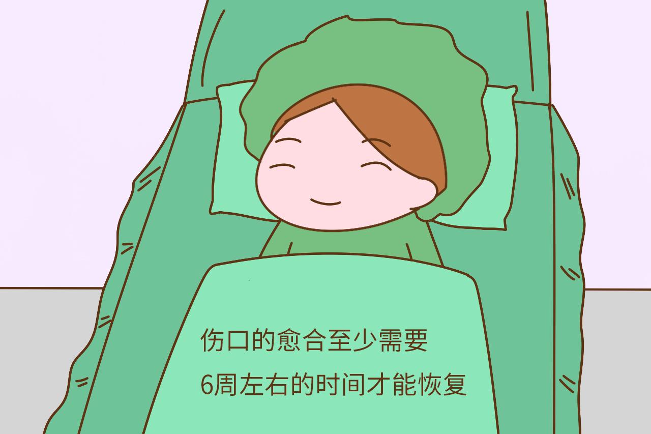 4e75-fymesmq8115905.jpg
