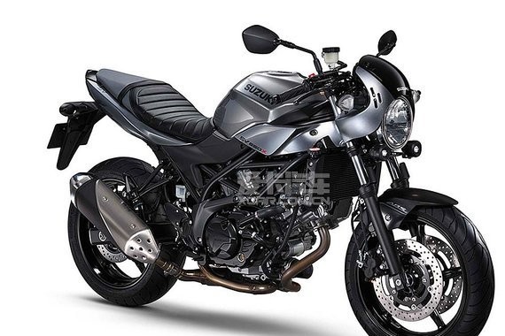 铃木SV650拉力纪念版将在东京车展亮相