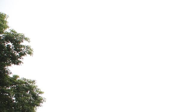 “行”认证让不懂车的你变成“行”家 首届大公购车节盛大开业！