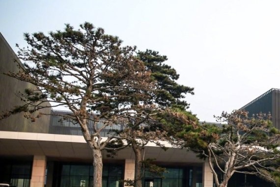 不止于产品 宝马全面构建新能源生态系统