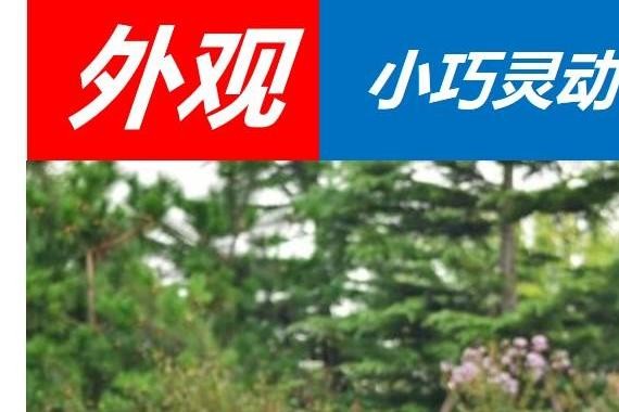 刚拿驾照惧怕手动挡？这小奥迪5万出头，自动挡还配电动天窗ESP