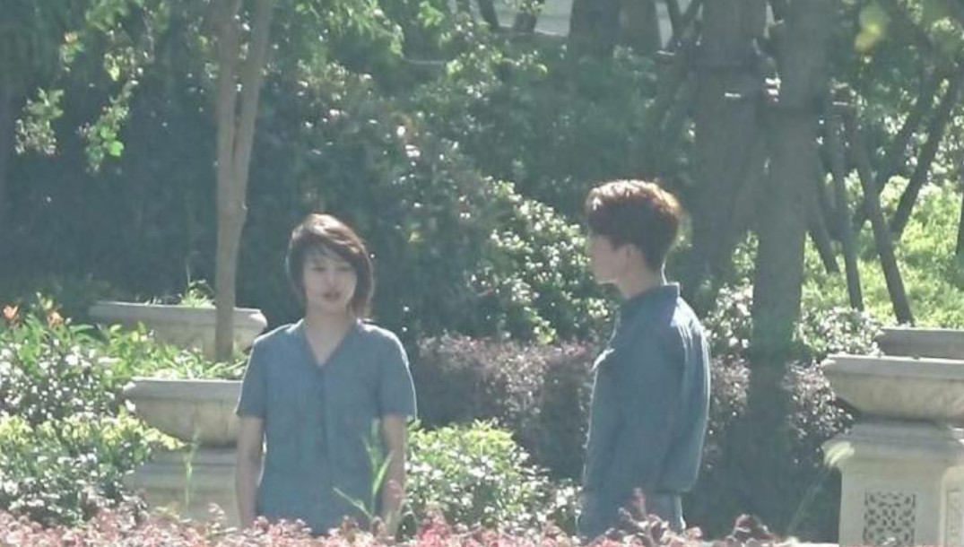 郑爽马天宇再度合作《悲伤逆流成河》