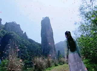 壁纸 风景 320_235 gif 动态图 动图